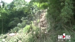 山体滑坡“巨石”卡在半山腰 坡下居民紧急转移 - 重庆晨网