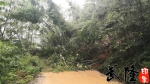 大暴雨突袭 武隆接龙桐梓两场镇被淹 路面积水最深处超过80厘米 - 重庆晨网