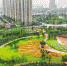 两江新区建成公园上百个未来三年将新增公园56个 - 重庆晨网