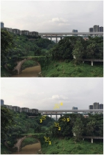 快来打卡！重庆再现“新景观”，这里可以一眼看五桥 - 重庆晨网