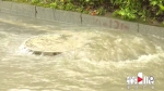 强降雨致黔江多路段严重积水 最深超80厘米 - 重庆晨网