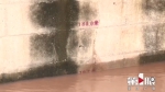 长江入汛来最大洪水通过重庆主城 南滨路水位逼近警戒线 - 重庆晨网