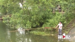 这个镇所有鱼塘水库边都有一根竹竿…… - 重庆晨网