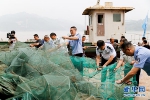 弃船上岸 渔民变守护长江鱼儿的志愿者力量 - 重庆晨网