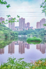 地铁直达！重庆超百万平方米的“巨无霸”湿地公园，藏着主城最绿的夏天 - 重庆晨网
