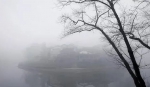“云里雾里”的津城，仙气十足 - 重庆晨网