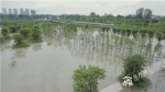 重庆潼南洪水过境 涪江今晚超保证水位1至2米 - 重庆晨网