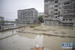 （防汛抗洪）（5）“嘉陵江2020年第1号洪水”在嘉陵江支流涪江形成 - 重庆晨网