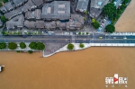 长江5号洪水到来 巴南沿江被淹 - 重庆晨网