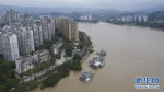 #（环境）（9）重庆启动洪水防御I级应急响应 - 新华网