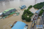 （环境）（14）重庆启动洪水防御I级应急响应 - 新华网