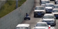 “熊孩子”开着玩具车上高速  好心市民全程“护航” - 重庆晨网