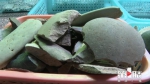 万州天生城遗址首次发现远古石器和宋代擂石 - 重庆晨网