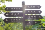 重庆綦江有座大山，山上有座千年古刹，其险陡程度堪比贵州梵净山 - 重庆晨网