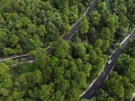 南山公园路修缮完工 市民旅游休闲更便捷 - 重庆晨网