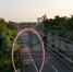 太惊险了！三个熊孩子骑自行车上了高速路 还逆行…… - 重庆晨网