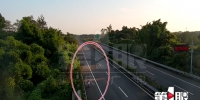 太惊险了！三个熊孩子骑自行车上了高速路 还逆行…… - 重庆晨网