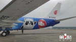 北京冬奥会主题彩绘飞机飞来重庆 - 重庆晨网