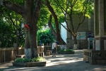 这个近百年的公园 记录着重庆城的过去和现在 - 重庆晨网
