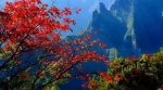 重庆的秋 散发着绚丽和美好 - 重庆晨网