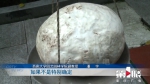 稀奇！重庆大爷捡到足球大的蘑菇 专家：不建议食用 - 重庆晨网