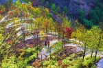 先睹为快！国内首个“3D森林艺术景区”将落户巴南 - 重庆晨网