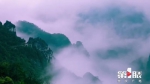 灵猴跳跃 峭壁如削 “动感峡谷”邀你赏美景 - 重庆晨网