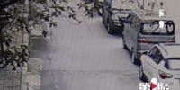 3岁幼童飞奔过公路被卷进车底 现场视频曝光 - 重庆晨网
