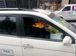 是“水果忍者”在驾驶吗？这辆无人驾驶”面包车成功吸引了蜀黍注意 - 重庆晨网