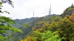 你只知有个骆来山，却不知山上藏着“三大秘密” - 重庆晨网