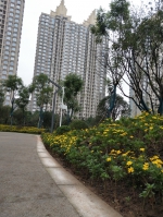 骑行、散步、打篮球......两江新区山地运动公园预计11月开放 - 重庆晨网