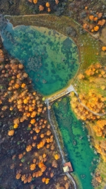 大自然作画的秋天，竟美成这样…… - 重庆晨网