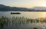 汉丰湖水上彩林迎来最佳观赏期 水鸟翩翩彩林斑斓 - 重庆晨网