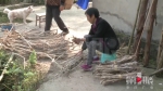 燃气供应中断几个月 3个村居民只有靠柴禾 - 重庆晨网