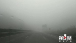 今晨大雾沪渝高速部分路面能见度不足百米 - 重庆晨网