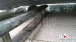 多车底盘在停车场被损坏 “罪魁祸首”竟是它…… - 重庆晨网