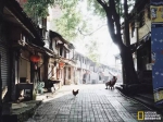 下浩老街 长江南岸的旧重庆 - 重庆晨网