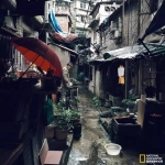 下浩老街 长江南岸的旧重庆 - 重庆晨网