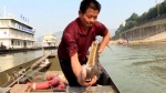 重达37斤！4男子非法捕捞“水中大熊猫”被抓了现行 - 重庆晨网