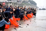 重达37斤！4男子非法捕捞“水中大熊猫”被抓了现行 - 重庆晨网