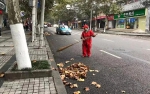 今早万州遭遇特别天气！监控拍下这一幕…… - 重庆晨网