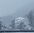 今晨巫溪红池坝、城口黄安坝的雪：下得那么深 那么认真…… - 重庆晨网