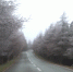 太美了！仙女山景区迎入冬首场雾凇景观 - 重庆晨网
