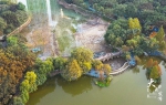 大渡口公园打造“水下森林”，翠湖南湖将现碧波荡漾美景！ - 重庆晨网