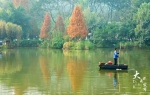 大渡口公园打造“水下森林”，翠湖南湖将现碧波荡漾美景！ - 重庆晨网