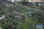 70米落差，360°回旋转！打卡重庆“魔幻公园” - 重庆晨网