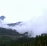 涪陵武陵山：云雾绕山间 飘渺似仙境 - 重庆晨网