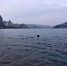 快来围观！涪陵水天一色的平湖美景 - 重庆晨网