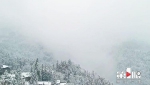 重庆多地迎降雪，哪里的雪景惊艳了你？ - 重庆晨网