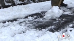 道路积雪超10厘米 涪陵迎来今冬首场大雪 - 重庆晨网